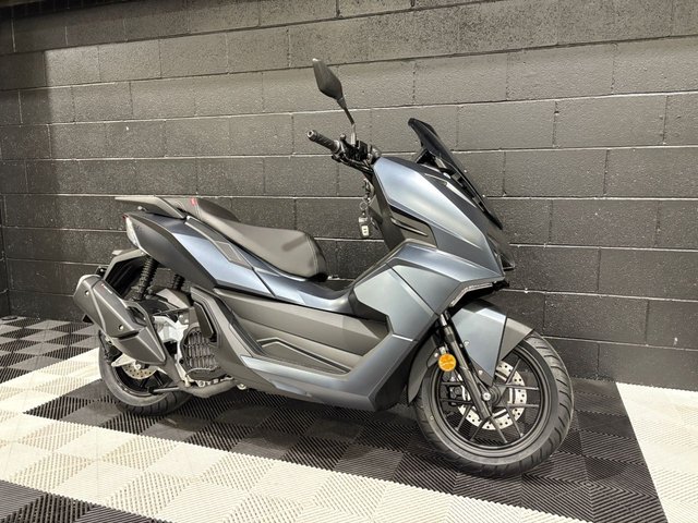 View our LEXMOTO D2