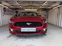 USED 2016 FORD MUSTANG 2.3T EcoBoost Convertible 2dr Petrol SelShift Euro 6 (317 ps)+1 OWNER FROM NEW+HISTORY+MEDIA+BLUETOOTH+NAVIGATION+BLACK 19 INCH ALLOYS+CLIMATE+CAMERA+PARK CONTROL+ 1 OWNER FROM NEW+HISTORY+MEDIA+FULL LEATHER HEATED SEATS+ALLOYS+PARKING SENSORS+CLIMATE+BLUETOOTH+NAV+USB+AUX+DAB+REAR CAM+HPI CLEAR