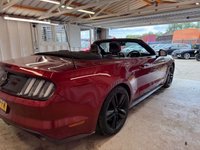 USED 2016 FORD MUSTANG 2.3T EcoBoost Convertible 2dr Petrol SelShift Euro 6 (317 ps)+1 OWNER FROM NEW+HISTORY+MEDIA+BLUETOOTH+NAVIGATION+BLACK 19 INCH ALLOYS+CLIMATE+CAMERA+PARK CONTROL+ 1 OWNER FROM NEW+HISTORY+MEDIA+FULL LEATHER HEATED SEATS+ALLOYS+PARKING SENSORS+CLIMATE+BLUETOOTH+NAV+USB+AUX+DAB+REAR CAM+HPI CLEAR