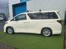 USED 2008 TOYOTA ALPHARD TOYOTA ALPHARD 2.4 LITRE MPV FWD IDEAL FOR CUSTOM CAMPER CONVERSION #01135 IDEAL FOR CUSTOM CAMPER CONVERSION