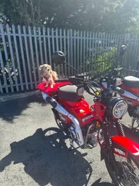 USED 2024 HONDA CT125 Cross Cub Commuter Adventure Never used, 0 miles, learner legal