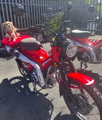 USED 2024 HONDA CT125 Cross Cub Commuter Adventure Never used, 0 miles, learner legal