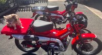 USED 2024 HONDA CT125 Cross Cub Commuter Adventure Never used, 0 miles, learner legal