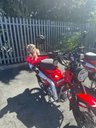 USED 2024 HONDA CT125 Cross Cub Commuter Adventure Never used, 0 miles, learner legal
