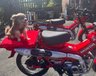 USED 2024 HONDA CT125 Cross Cub Commuter Adventure Never used, 0 miles, learner legal