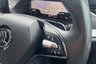 USED 2021 21 SKODA OCTAVIA 2.0 TDI SE L First Edition Hatchback 5dr Diesel DSG Euro 6 (s/s) (150 ps) 2 Keys / Full Service History, Touchscreen, Apple CarPlay / Android Auto, Virtual Cockpit, USB- C Ports 2 Keys / Full Service History, Touchscreen, Apple CarPlay / Android Auto, Virtual Cockpit, USB- C Ports
