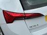 USED 2019 19 SKODA SCALA 1.0 TSI SE Hatchback 5dr Petrol Manual Euro 6 (s/s) (115 ps) 