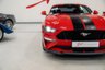 USED 2022 22 FORD MUSTANG 5.0 V8 GT Fastback 2dr Petrol Manual Euro 6 (450 ps) CUSTOM PACK 2/ REAR SPOILER/ STRIPE