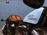 USED 2010 60 HARLEY-DAVIDSON SPORTSTER XL1200X Forty-Eight Custom Cruiser  Nationwide Delivery &pound;149 - 9.9% APR