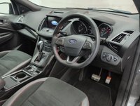 USED 2019 19 Ford Kuga 1.5t Ecoboost St-Line Edition Suv 5dr Petrol Auto Awd Euro 6 (s/S) (176 Ps) - Pan Roof, Sat Nav, Privacy