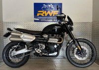 2023 TRIUMPH Scrambler 1200