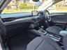 USED 2022 71 FORD FOCUS 1.0T EcoBoost MHEV Titanium Edition Hatchback 5dr Petrol Manual Euro 6 (s/s) (155 ps) Timing Chain, not a Wet Belt