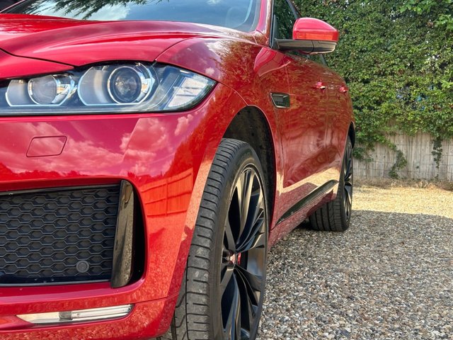 View our JAGUAR F-PACE