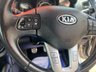 USED 2013 13 KIA PROCEED 1.6 CRDi 3 Hatchback 3dr Diesel Manual Euro 5 (113 bhp) 