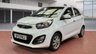 USED 2012 12 KIA PICANTO 1.25 2 Hatchback 5dr Petrol Auto Euro 5 (84 bhp) 