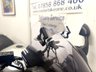 USED 2002 51 SUZUKI GSF 600 S BANDIT 600cc Carbon Exhaust, Heated Grips, MRA Smoked Screen