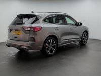 USED 2020 07 Ford Kuga 1.5 Ecoblue St-Line X Edition Suv 5dr Diesel Manual Euro 6 (s/S) (120 Ps) - Alloy, Cruise, Sat Nav