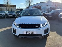 USED 2015 65 LAND ROVER RANGE ROVER EVOQUE 2.0 TD4 SE Tech SUV 5dr Diesel Manual 4WD Euro 6 (s/s) (180 ps) ANOTHER ABSOLUTE BEAUTY, JUST IN AND FINISHED IN STUNNING WHITE PAINT+4 WHEEL DRIVE+DIESEL+SERVICE HISTORY+ULEZ COMPLIANT+FULL, TWO TONE LEATHER INTERIOR+FULL PANORAMIC GLASS ROOF+SATELLITE NAVIGATION+PARK ASSIST+CLIMATE CONTROL+18 INCH ALLOY WHEELS+COST NEW &pound;34745 MAKING THIS USED VEHICLE AMAZING VALUE AT OUR LOW PRICE+1 FULL YEARS MOT PRIOR TO COLLECTION+CALL NOW TO ARRANGE A VIEWING+THIS VEHICLE IS NOT TO BE MISSED!!!!!!!!!!!!!!!!!!!!!!!!!!!!!!!!!!!!!!!