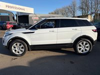 USED 2015 65 LAND ROVER RANGE ROVER EVOQUE 2.0 TD4 SE Tech SUV 5dr Diesel Manual 4WD Euro 6 (s/s) (180 ps) ANOTHER ABSOLUTE BEAUTY, JUST IN AND FINISHED IN STUNNING WHITE PAINT+4 WHEEL DRIVE+DIESEL+SERVICE HISTORY+ULEZ COMPLIANT+FULL, TWO TONE LEATHER INTERIOR+FULL PANORAMIC GLASS ROOF+SATELLITE NAVIGATION+PARK ASSIST+CLIMATE CONTROL+18 INCH ALLOY WHEELS+COST NEW &pound;34745 MAKING THIS USED VEHICLE AMAZING VALUE AT OUR LOW PRICE+1 FULL YEARS MOT PRIOR TO COLLECTION+CALL NOW TO ARRANGE A VIEWING+THIS VEHICLE IS NOT TO BE MISSED!!!!!!!!!!!!!!!!!!!!!!!!!!!!!!!!!!!!!!!