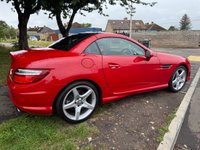 USED 2015 65 MERCEDES-BENZ SLK 2.1 SLK250d AMG Sport Convertible 2dr Diesel G-Tronic Euro 6 (s/s) (204 ps) AUTOMATIC+6 MONTHS RAC WARRANTY+12 MONTHS MOT