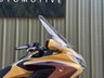 USED 2025 25 HONDA GL1800 Gold Wing 1800 Tour Tourer Petrol DCT Enclosed Shaft Euro 5 (126 ps) FULL OPTION PACK + DATATOOL TRACKER