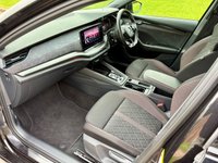 USED 2021 21 SKODA OCTAVIA 2.0 TDI vRS Hatchback 5dr Diesel DSG Euro 6 (s/s) (200 ps) 