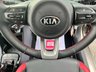 USED 2017 67 KIA PICANTO 1.0 GT-Line Hatchback 5dr Petrol Manual Euro 6 (66 bhp) SERVICE HISTORY* FULL LEATHER* BLUETOOTH PHONE AND AUDIO* 16 INCH ALLOY WHEELS* AIR CONDITIONING* FRONT ARM REST WITH CENTRE CONSOLE* AUX POINT* USB POINT* MULTI FUNCTION STEERING WHEEL* ELECTRIC WINDOWS