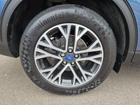 USED 2021 21 FORD KUGA 2.0 EcoBlue MHEV Titanium Edition SUV 5dr Diesel Manual Euro 6 (s/s) (150 ps) Power Tailgate Rear Camera
