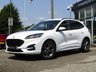 USED 2020 70 FORD KUGA 1.5T EcoBoost ST-Line First Edition SUV 5dr Petrol Manual Euro 6 (s/s) (150 ps) Finished in FROZEN WHITE  with contrasting BLACK ALCANTARA TRIM. This Kuga is a great choice if you like driving. It's one of the most enjoyable, practical and fun family SUV's around. Features include Sat Nav, Heads Up Display, Power Gesture Rear Boot, Virtual Dash, Rear Camera, Power Folding Door Mirrors Front and Rear Park Sensors, Auto Parking, DAB, B & O Speakers, B/Tooth, Cruise and much more. Dealer serviced 10206 miles, 29849 miles, 38871 miles and on arrival at 51491 miles.