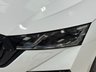 USED 2021 21 SKODA OCTAVIA 2.0 TDI vRS Estate 5dr Diesel DSG 4WD Euro 6 (s/s) (200 ps) +DYNAMIC CHASSIS CONTROL+