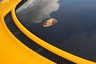 USED 2019 PORSCHE 911 4.0 991 GT3 RS Coupe 2dr Petrol PDK Euro 6 (520 ps) PPF | CLUBSPORT | FULL CARBON!