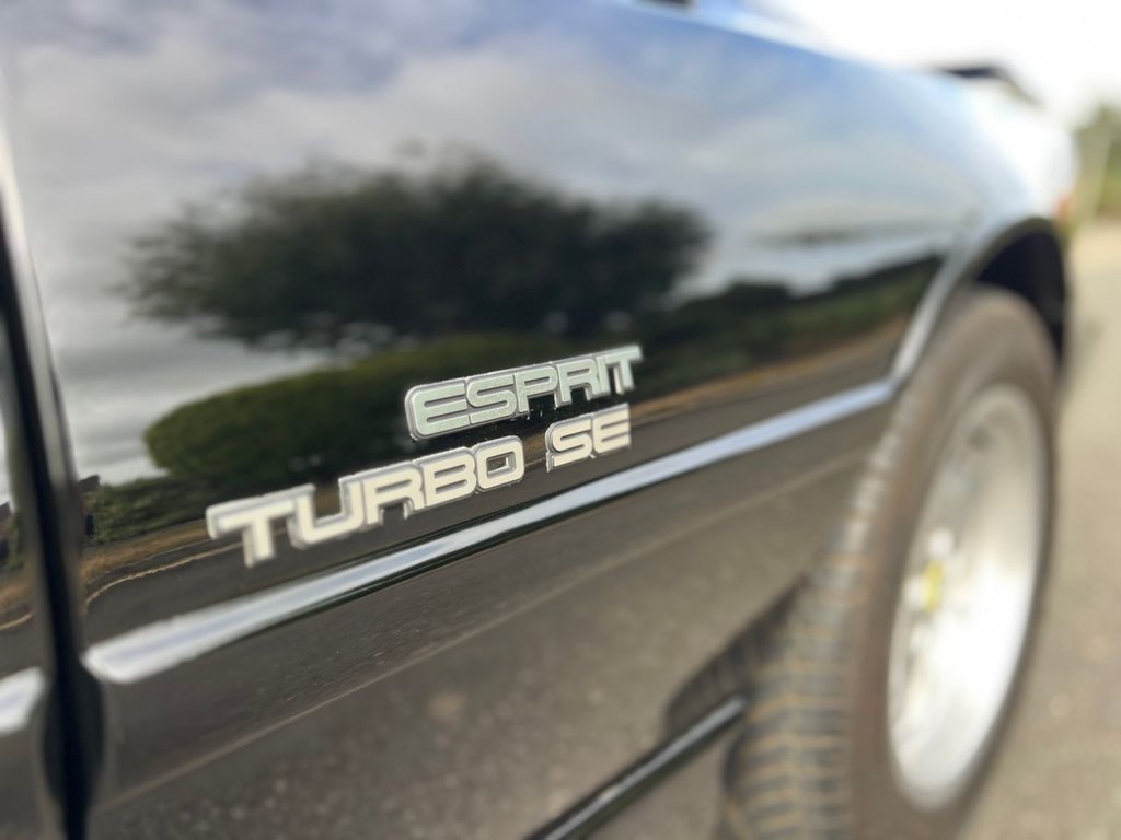 USED 1989 G LOTUS ESPRIT TURBO SE // 2.2L // 197 BHP // px swap 