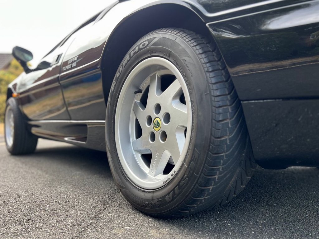 USED 1989 G LOTUS ESPRIT TURBO SE // 2.2L // 197 BHP // px swap 