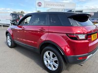 USED 2017 17 LAND ROVER RANGE ROVER EVOQUE 2.0 TD4 SE Tech SUV 5dr Diesel Manual 4WD Euro 6 (s/s) (180 ps) A STUNNING ADDITION TO OUR VAST SELECTION OF EVOQUES+DIESEL+4 WHEEL DRIVE+SERVICE HISTORY+ULEZ COMPLIANT+PRIVACY GLASS+FULL LEATHER INTERIOR+SATELLITE NAVIGATION+PARK ASSIST+CLIMATE CONTROL+18 INCH ALLOY WHEELS+CALL NOW FOR FURTHER INFORMATION AND TO ARRANGE A VIEWING+READY TO DRIVE AWAY TODAY!!!!!!!!!!!!!!!!!!!!!!!!!!!!!!!!!!!!!!!!!