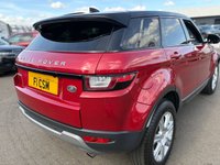 USED 2017 17 LAND ROVER RANGE ROVER EVOQUE 2.0 TD4 SE Tech SUV 5dr Diesel Manual 4WD Euro 6 (s/s) (180 ps) A STUNNING ADDITION TO OUR VAST SELECTION OF EVOQUES+DIESEL+4 WHEEL DRIVE+SERVICE HISTORY+ULEZ COMPLIANT+PRIVACY GLASS+FULL LEATHER INTERIOR+SATELLITE NAVIGATION+PARK ASSIST+CLIMATE CONTROL+18 INCH ALLOY WHEELS+CALL NOW FOR FURTHER INFORMATION AND TO ARRANGE A VIEWING+READY TO DRIVE AWAY TODAY!!!!!!!!!!!!!!!!!!!!!!!!!!!!!!!!!!!!!!!!!