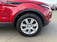 USED 2017 17 LAND ROVER RANGE ROVER EVOQUE 2.0 TD4 SE Tech SUV 5dr Diesel Manual 4WD Euro 6 (s/s) (180 ps) A STUNNING ADDITION TO OUR VAST SELECTION OF EVOQUES+DIESEL+4 WHEEL DRIVE+SERVICE HISTORY+ULEZ COMPLIANT+PRIVACY GLASS+FULL LEATHER INTERIOR+SATELLITE NAVIGATION+PARK ASSIST+CLIMATE CONTROL+18 INCH ALLOY WHEELS+CALL NOW FOR FURTHER INFORMATION AND TO ARRANGE A VIEWING+READY TO DRIVE AWAY TODAY!!!!!!!!!!!!!!!!!!!!!!!!!!!!!!!!!!!!!!!!!