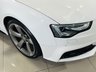 USED 2015 15 AUDI A5 2.0 TDI Black Edition Plus Sportback 5dr Diesel Multitronic Euro 5 (s/s) (150 ps) Heated Seats | Cruise Control | Sat Nav | Bluetooth Media | Ibis White