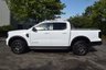USED 2025 25 FORD RANGER 3.0 TD V6 EcoBlue Wildtrak Pickup Double Cab 4dr Diesel Auto 4WD Euro 6 (s/s) (240 ps) Huge savings on list price