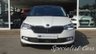 USED 2019 19 SKODA FABIA 1.0 TSI Colour Edition Hatchback 5dr Petrol Manual Euro 6 (s/s) (95 ps) 