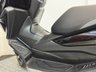 USED 2020 69 HONDA Forza 125 1 OWNER FROM NEW - TOP BOX COMES WITH NEW MOT AND WARRANTY