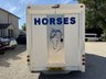 USED 2014 14 VAUXHALL MOVANO 2.3 CDTi 3500 Horse Box 2dr Diesel Manual FWD L3 H1 Euro 5 (125 ps) LOVELY HORSE BOX!