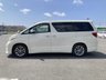 USED 2010 TOYOTA ALPHARD CAMPERVAN TOYOTA ALPHARD 2.4 LITRE PETROL FWD IDEAL FOR CUSTOM CAMPER CONVERSION #1178 IDEAL VAN FOR CONVERSION