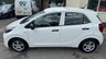 USED 2022 22 KIA PICANTO 1.0 DPi 1 Hatchback 5dr Petrol Manual Euro 6 (s/s) (66 bhp) Arrange WhatsApp video call