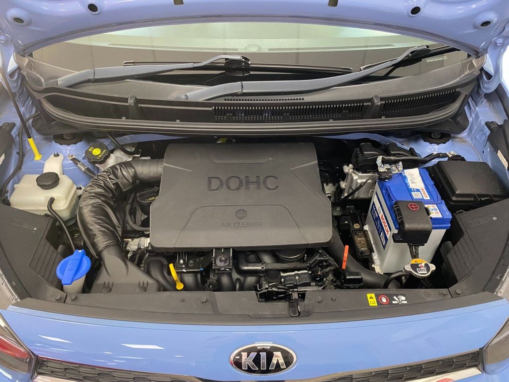 USED 2019 19 KIA PICANTO 1.25 3 Hatchback 5dr Petrol Auto Euro 6 (83 bhp) LOVELY LOW MILEAGE