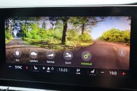 USED 2023 23 SKODA OCTAVIA 2.0 TSI VRS ESTATE DCC WINTER PACK 19"s AMBIENTLIGHTNG