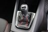 USED 2023 23 SKODA OCTAVIA 2.0 TSI VRS ESTATE DCC WINTER PACK 19"s AMBIENTLIGHTNG