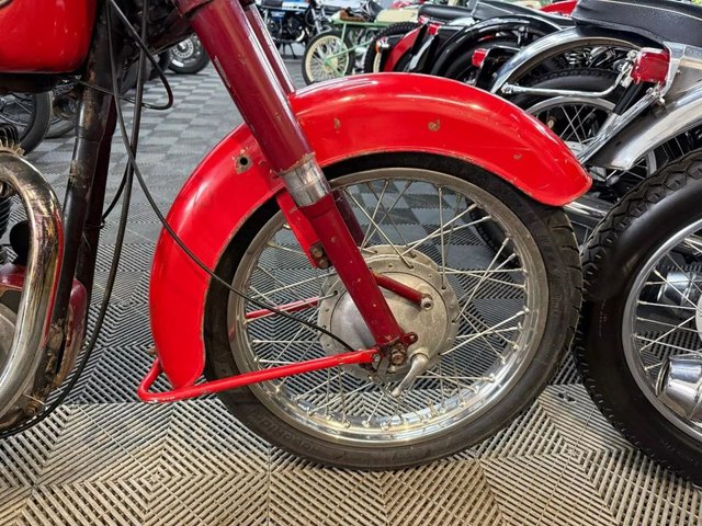 View our ARIEL RED HUNTER