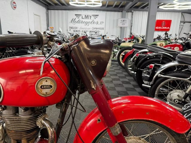 View our ARIEL RED HUNTER
