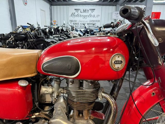 View our ARIEL RED HUNTER