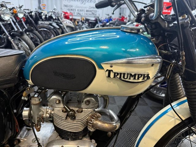 View our TRIUMPH DAYTONA